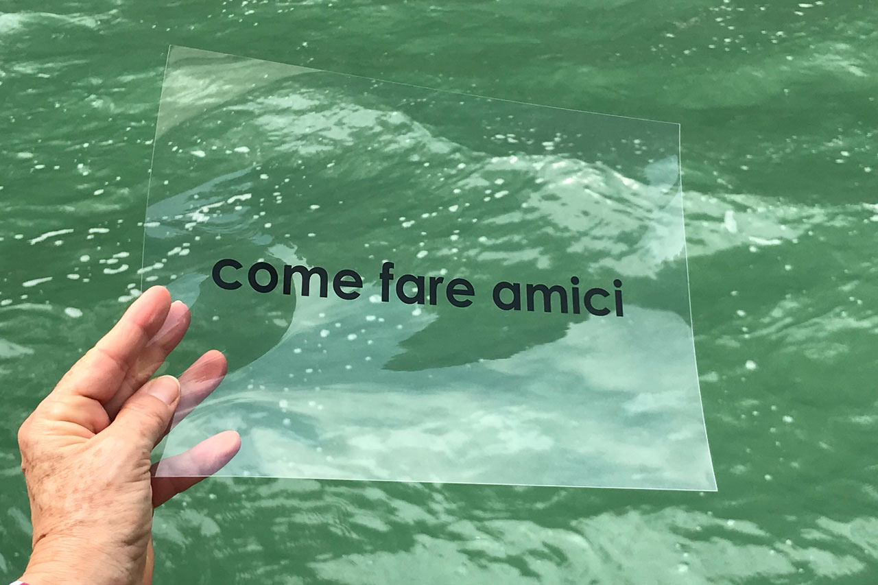 [ppll] Come fare amici – Veneza, 2019